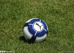 年城阳区职,工篮球联赛,报名启动,大发彩票官方网站,大发彩票团队,大发快三彩票,大发彩票体育集团,大发彩票赛事平台,大发彩票直播公司