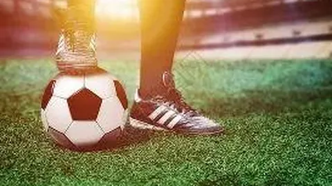 古井贡酒：稳健提升，夯实基础