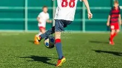 儿童玩具安全标准F963重金属及机械物理性能全面检测