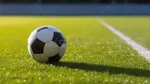 【双色球25138期精准预测】金胆号码揭晓：红球必中组合19、32、33，抢购好时机！