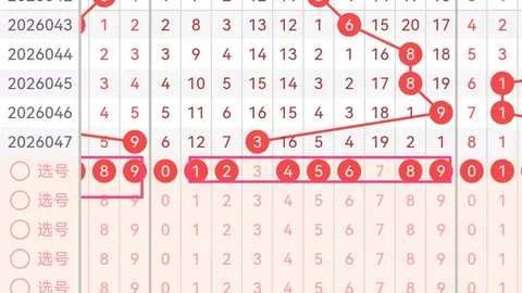 大乐透期号专家推荐：快乐826050号码组合