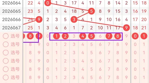 26025期大乐透后区选尾公式预测：专家绝杀定胆06 08 
